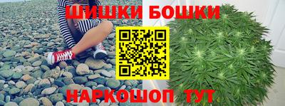 крисы Шахты