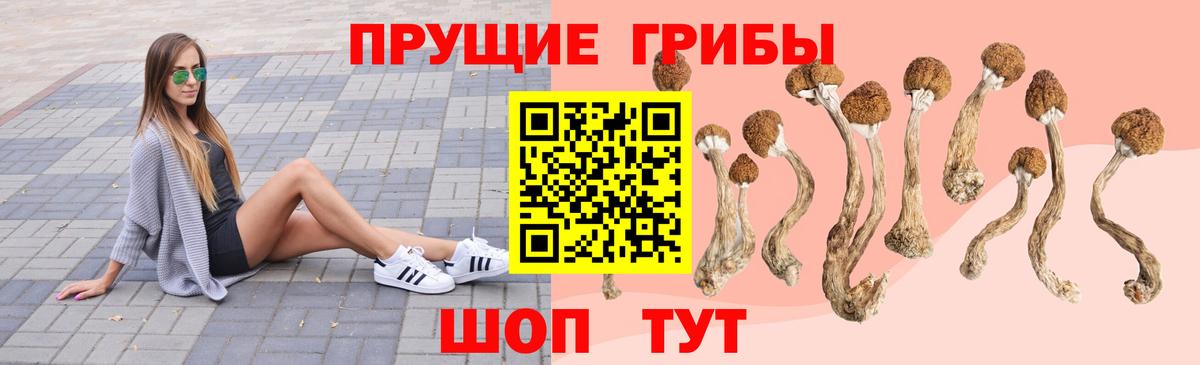 Псилоцибиновые грибы мухоморы  даркнет сайт  Кимовск  Вход с VPN 